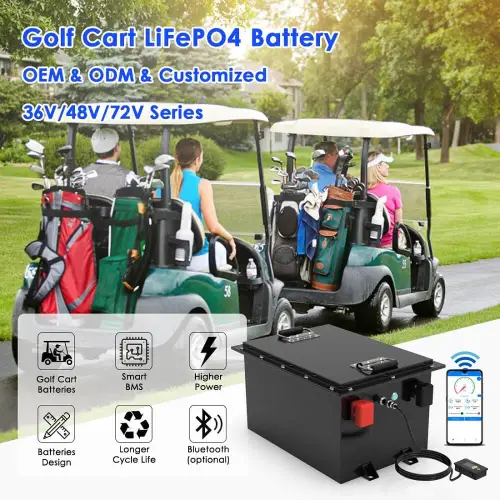ecavix Lithium Golf Cart Battery
