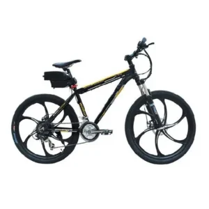 24V 10Ah Battery Pack for E-Bikes