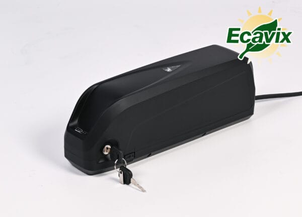 Lithium Rechargeable Battery for 250-1000W Electric Bike